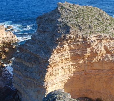 Eyre Peninsula - From the Ocean to Outback | Australian Wildlife Journeys