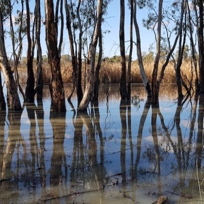 High River Landscape