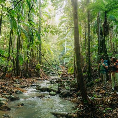 Gidjuum Gulganyi Walk, Scrub Tree WalkingTrack, Vision Walks Eco-Tours