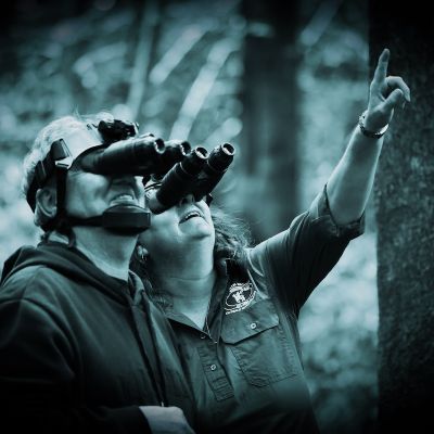 Night Vision Walk, Guests wearing night vision goggles Vision Walks Eco-Tours
