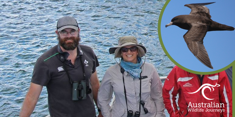 February 2021 | Australian Wildlife Journeys