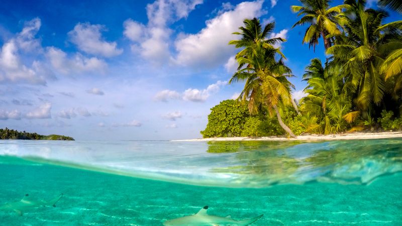 Cocos (Keeling) Islands Snorkelling