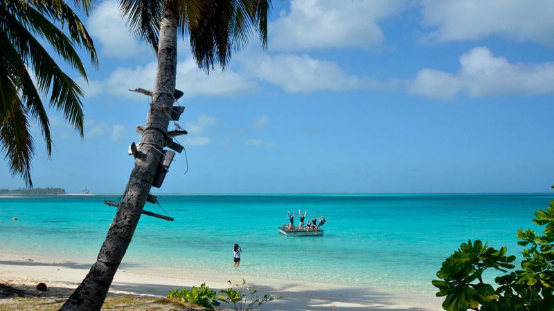 Direction Island Pontoon