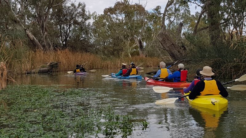 Murray River Safari Canoeing 03