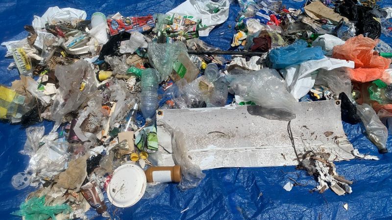 Pacific Whale Foundation - Cleaning Up Ocean Debris 2