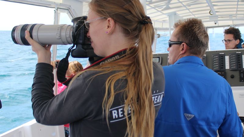 Whale Research Team