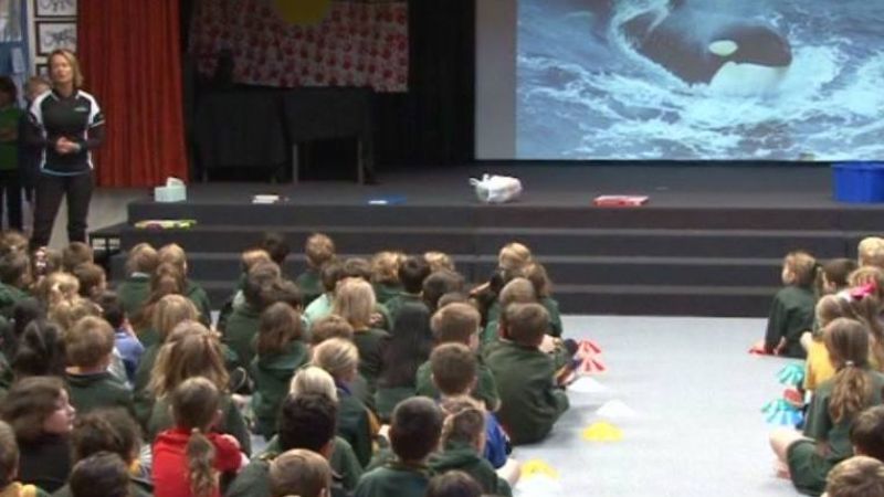 School Presentation
