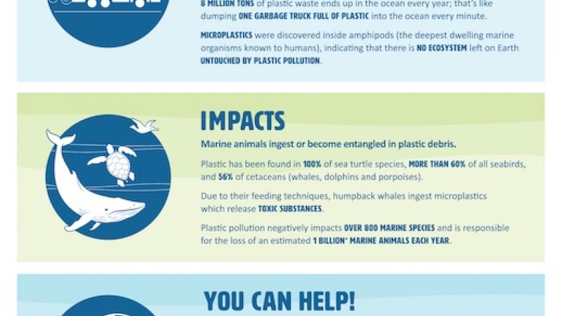 Rethink Single Use Plastics