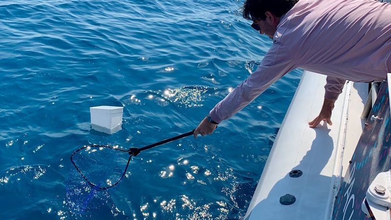 Marine Debris Cleanup