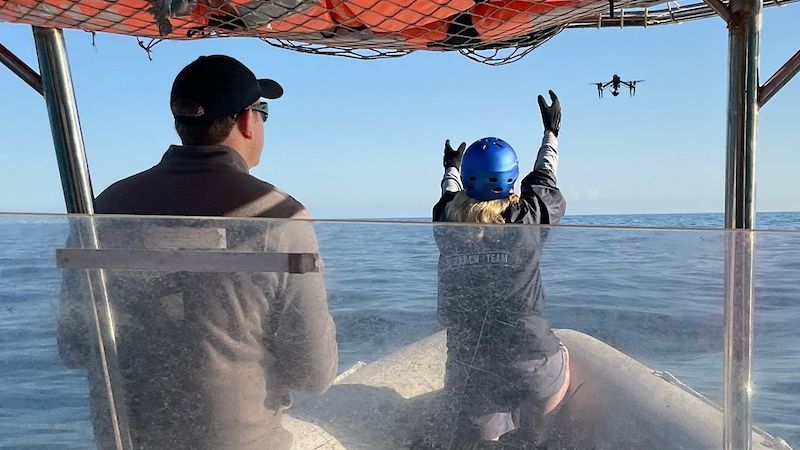 Drone Research