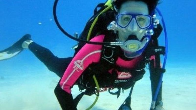 Sue Warner - Guide