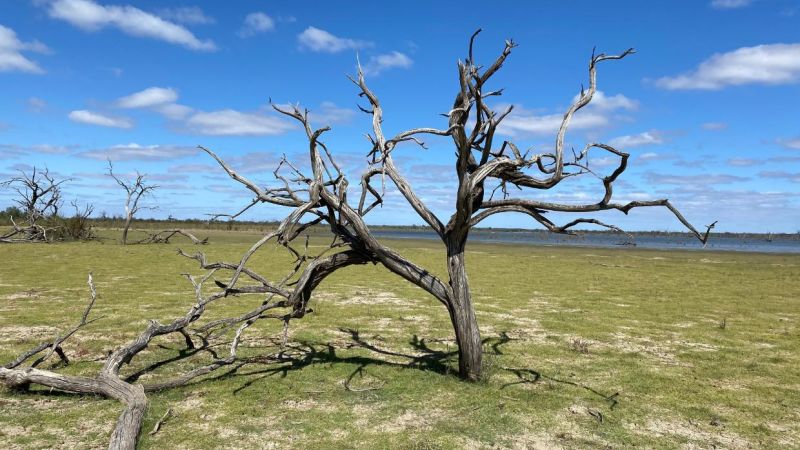 Stuff - Guy MacGibbon - Ephemeral Lakes