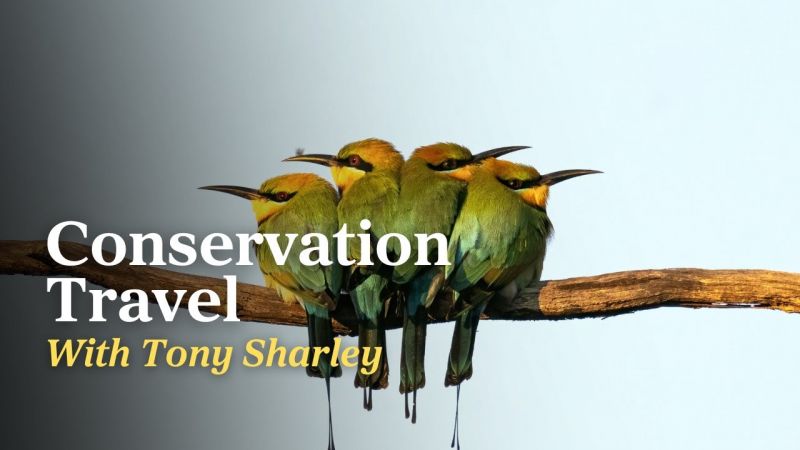 Conservation Travel with Tony Sharley