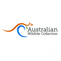 Profile picture for Australian Wildlife Journeys