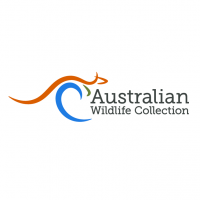 Australian Wildlife Journeys | Wildlife Journeys