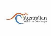 Profile picture for Australian Wildlife Journeys
