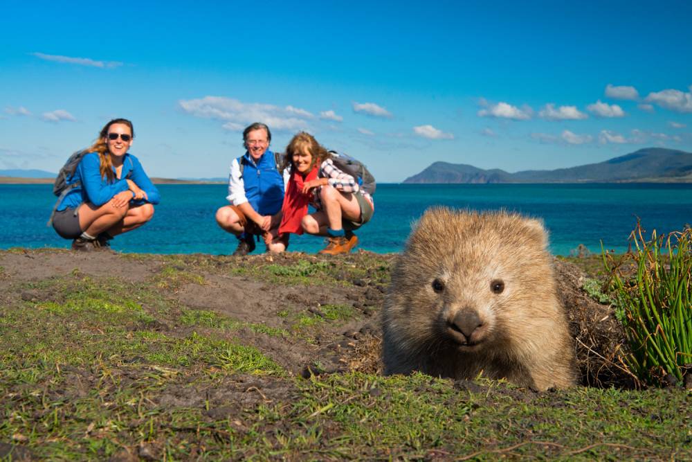 Video: Is this Australia's Cutest Animal? | Australian Wildlife Journeys Video: Is this Australia's Cutest Animal? | Australian Wildlife Journeys