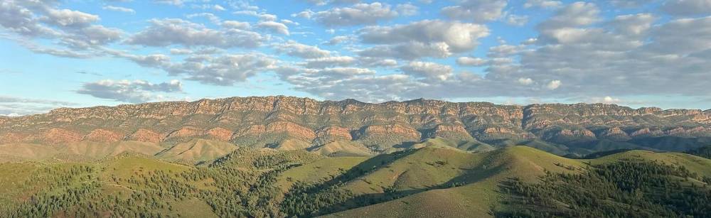 The Great Green Awakening: Flinders Ranges Transformed | Australian ...
