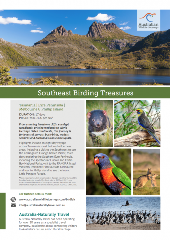 British Birdwatching Fair Package 04