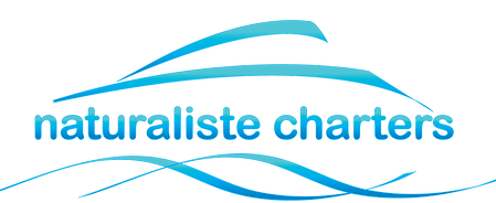 Naturaliste Logo