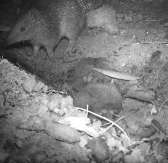 KI Land for Wildlife