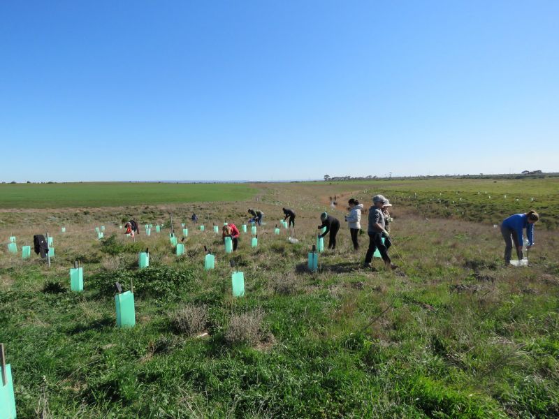 Conservation Action Day 01