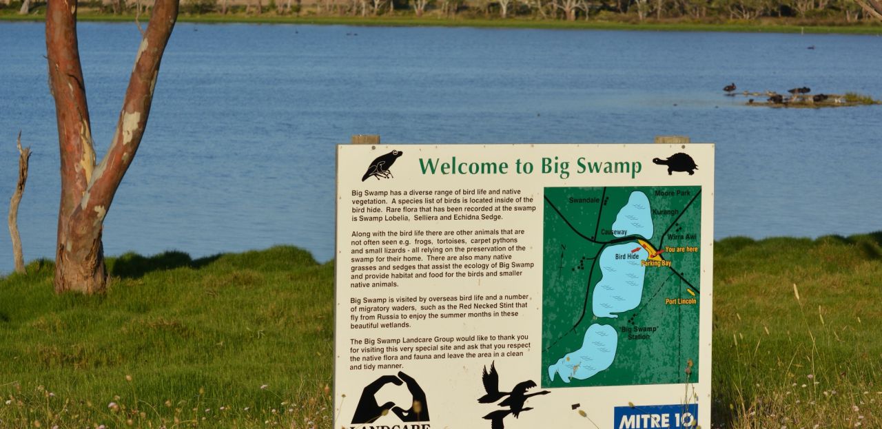 Big Swamp