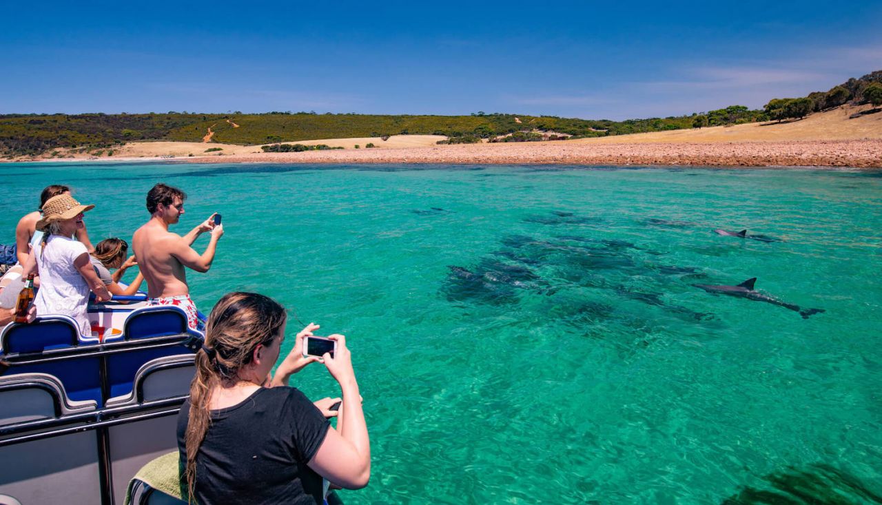 Walk Kangaroo Island - Dolphins