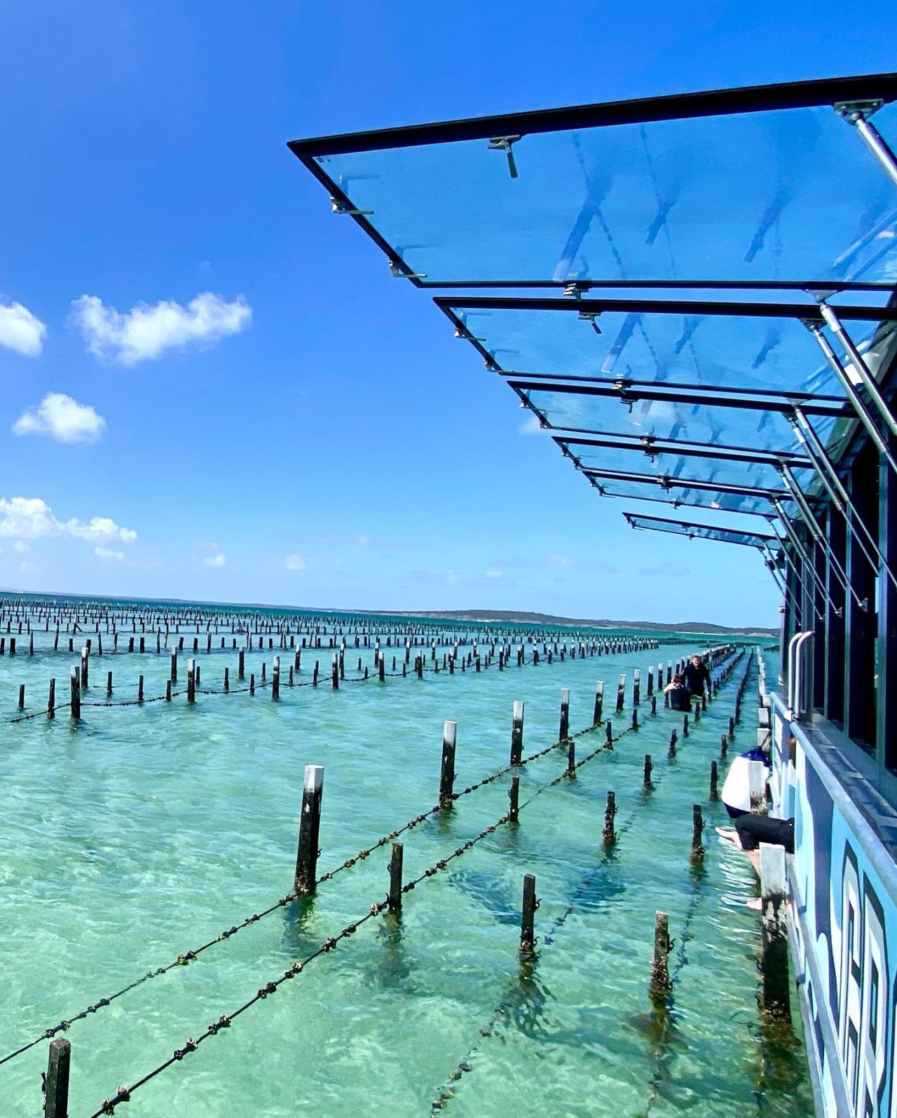 Oysters Lease - Eyre Peninsula Wildlife & Ocean Encounters