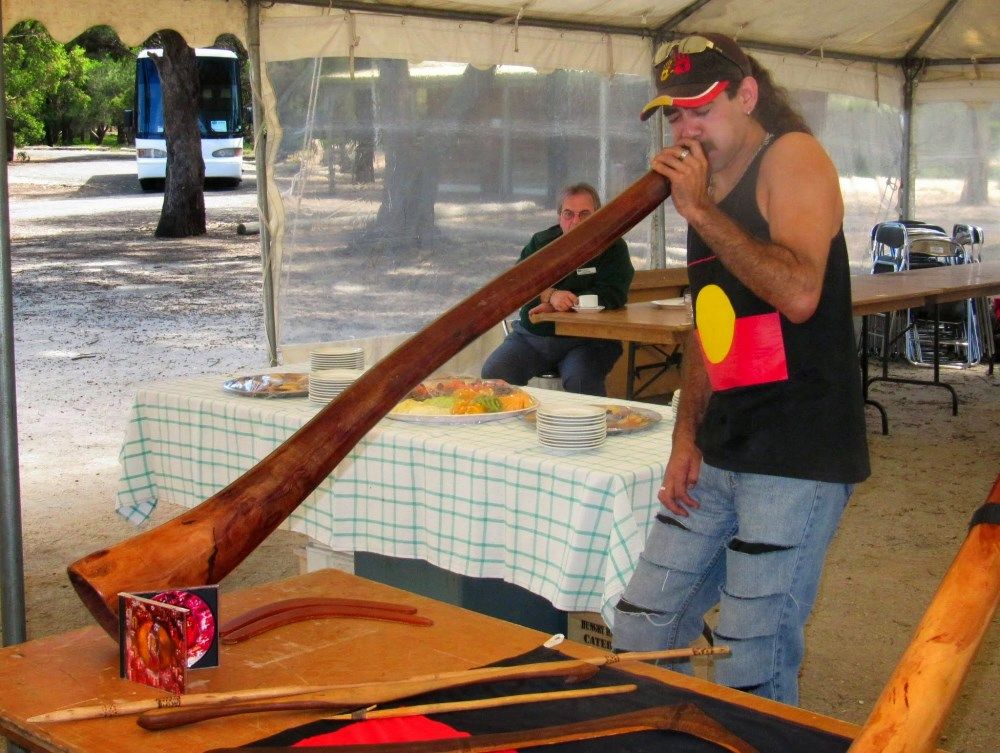 Didgeridoo - Echidna Walkabout