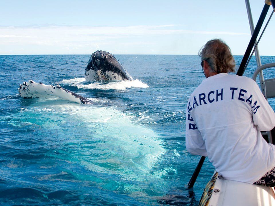 Hydrophone - Pacific Whale Foundation