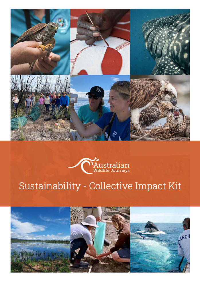 Sustainability - Collective Impact Kit