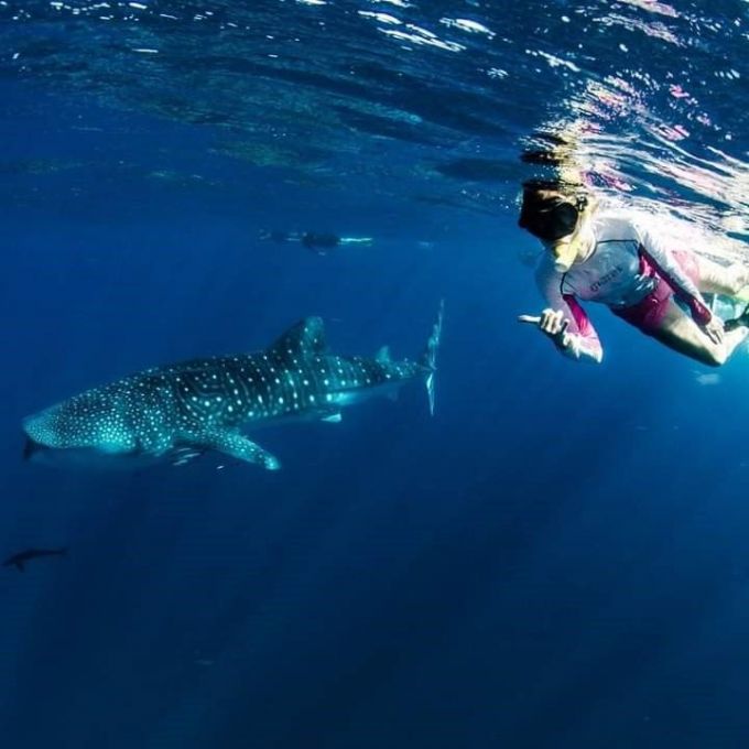 Heather Kay - Exmouth Dive & Whalesharks Ningaloo
