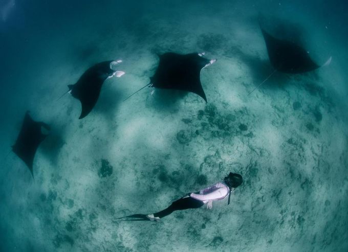 Lindsay Sorensen - Exmouth Dive & Whalesharks Ningaloo