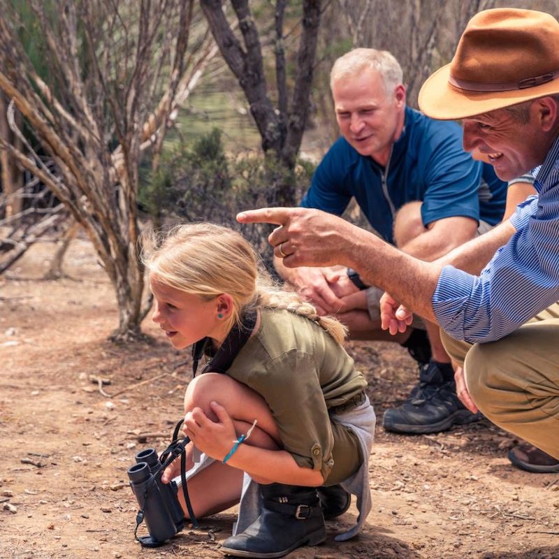 Wildlife Viewing Distance