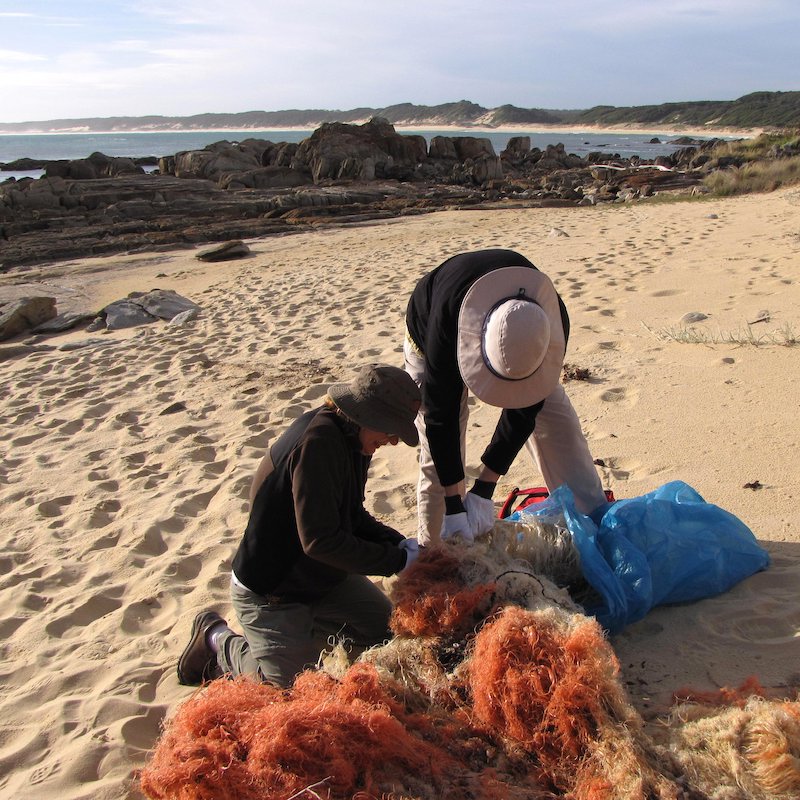 Beach Cleanup