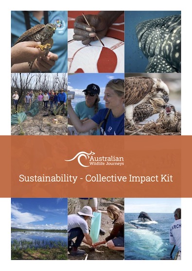 Sustainability - Collective Impact Kit Large