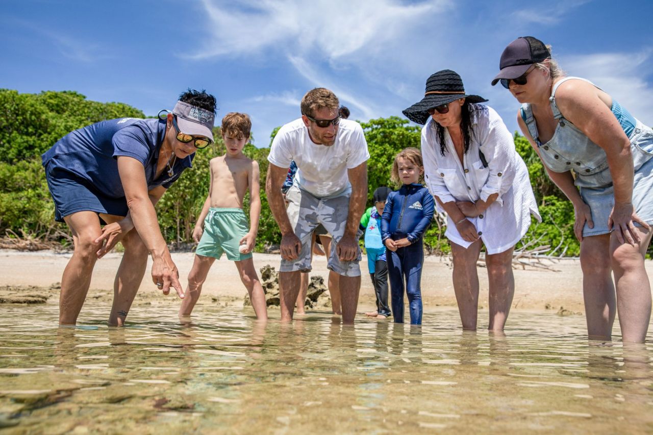 Frankland Islands Reef Cruises, Island Walk with Marine Biologist