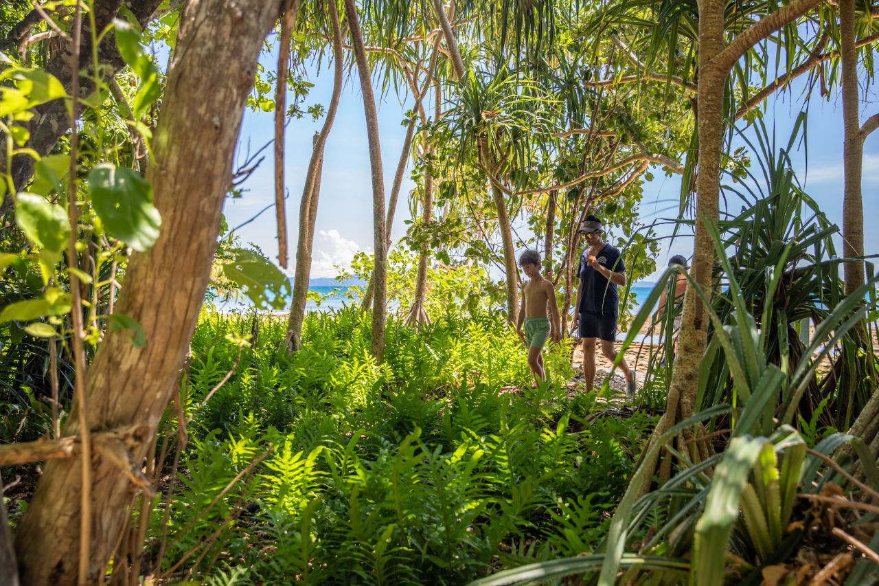 Rainforest Walk