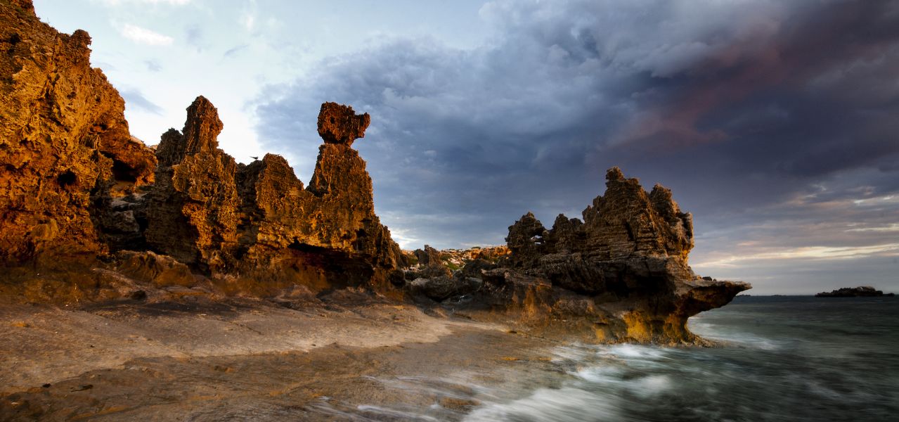 Limestone Shore