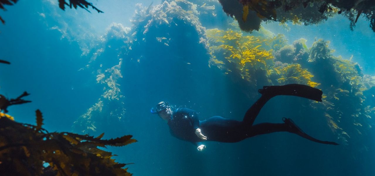 Snorkel Shoalwater Islands Marine Park