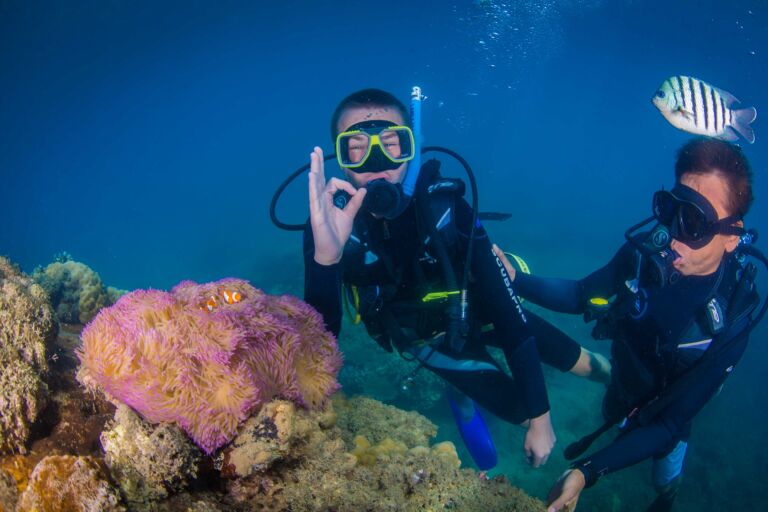 Frankland Islands - Diving