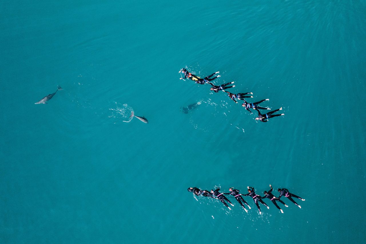 Dolphin Swim Aerial 3