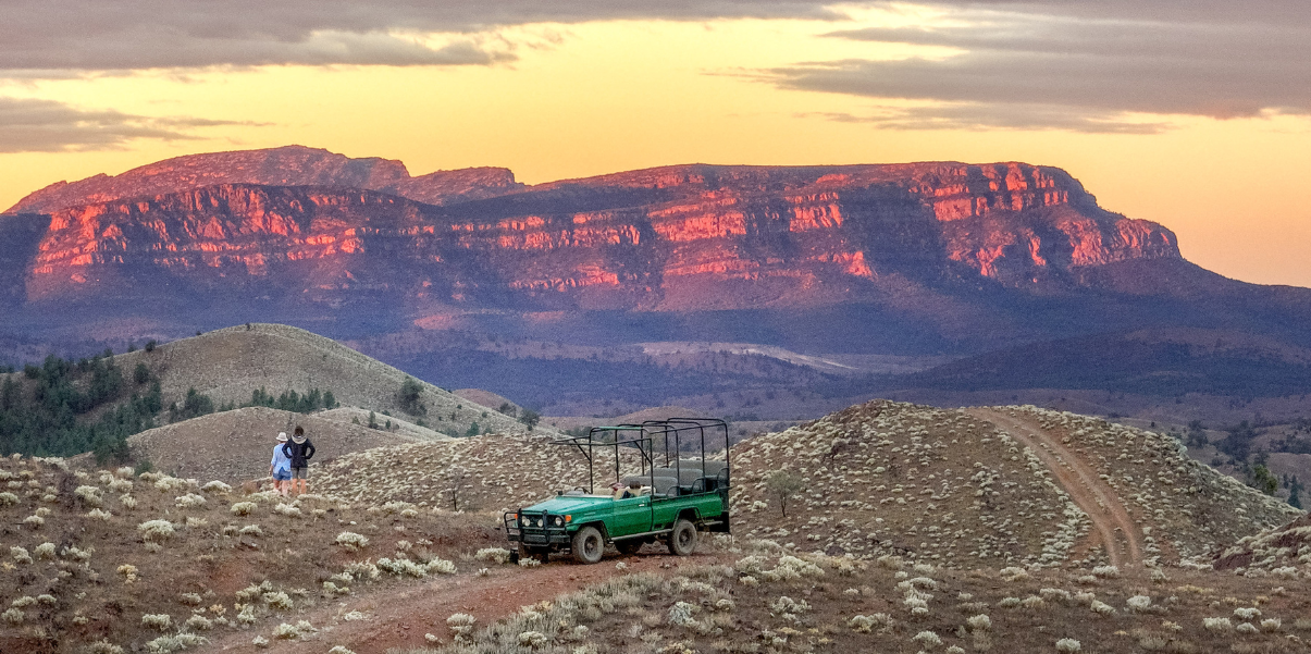 Arkaba Safari Drive 02