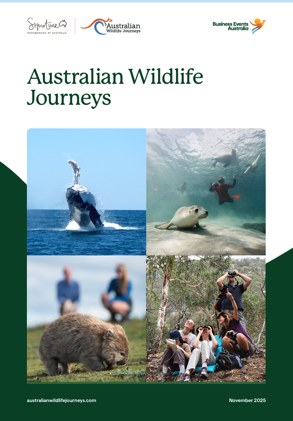 Business Events Flyer 2025