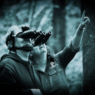 Night Vision Walk, Guests wearing night vision goggles Vision Walks Eco-Tours