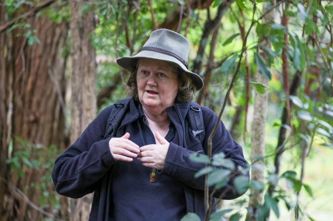 Wendy Bithell Profile, Vision Walks Eco-Tours