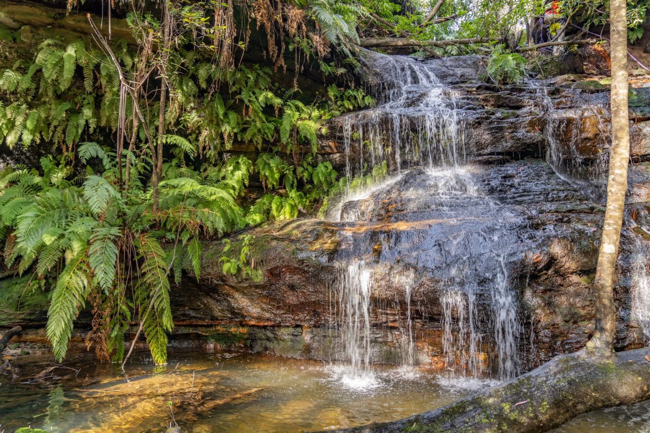 Falls - Blue Mountains