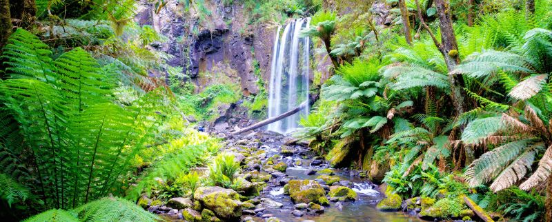 East Gippsland Landscape - 01