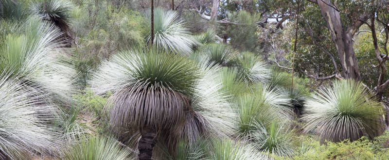 Kangaroo Island Landscapes 03